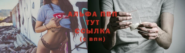 спайс Вяземский