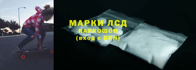 СК Кодинск