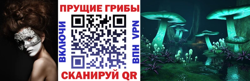 Псилоцибиновые грибы Psilocybe  дарнет шоп  Иланский 