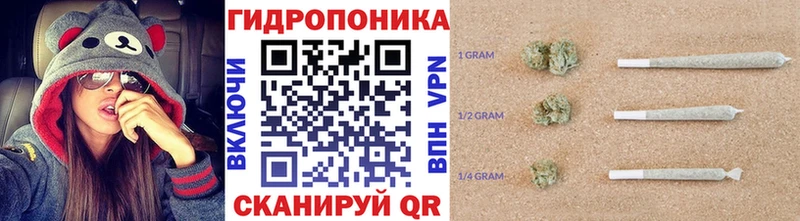 Каннабис сатива  Иланский 